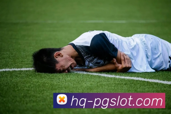 赏金女王官网平台生态图